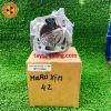 Bộ nòng Maru 42 xịn