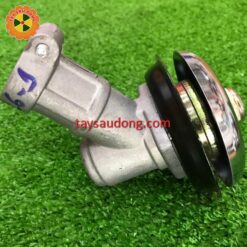 Đầu bò 26-9