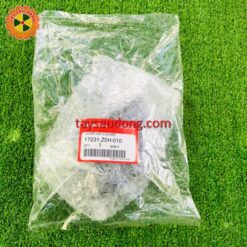 Nắp bô e GX25 xịn