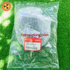 Nắp bô e GX35 zin