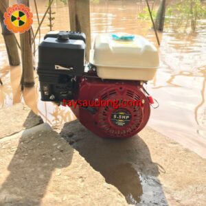 Đầu máy nổ động cơ xăng Yokohama 5.5HP