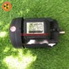 Motor 1 ngựa rưỡi TDC